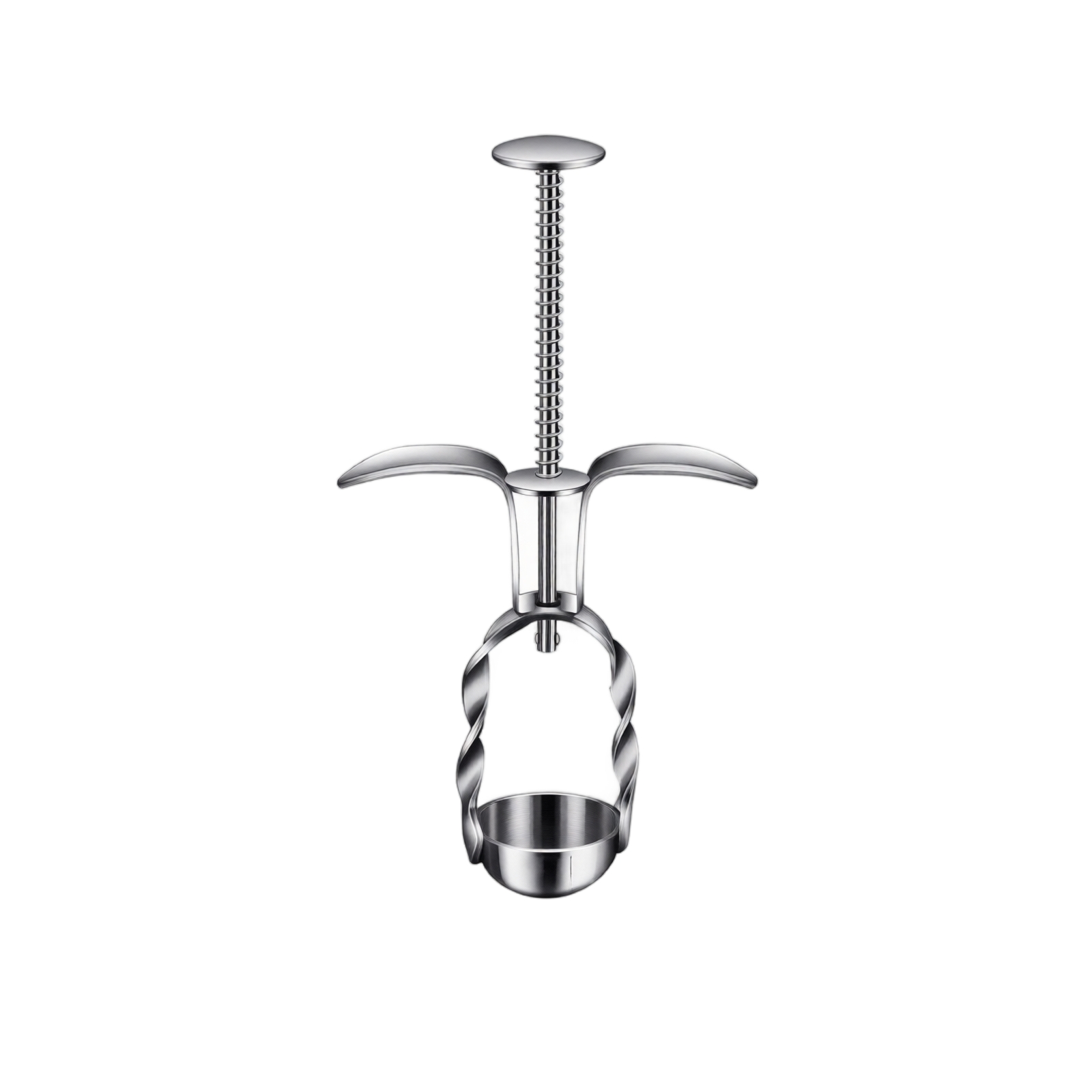 Removedor de sementes de jujub - Cherry Pitter Tool avaliação e preço